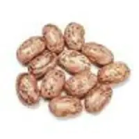 Pinto Beans
